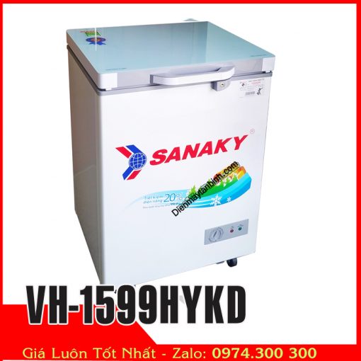 Tủ đông Sanaky VH-1599HYKD 100 lít (Nắp ốp kính)