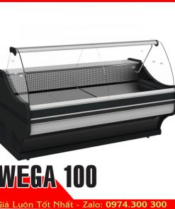 tủ đông mềm trưng bày thịt heo và thực phẩm tự chọn WEGA 100