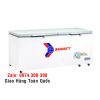 Tủ đông Inverter Sanaky VH-8699HY4K 860 lít